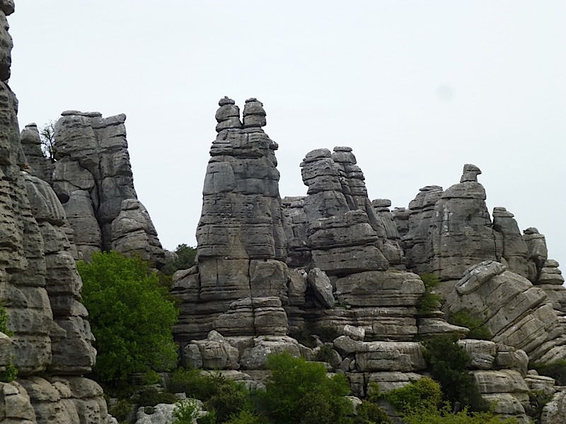 P1010517