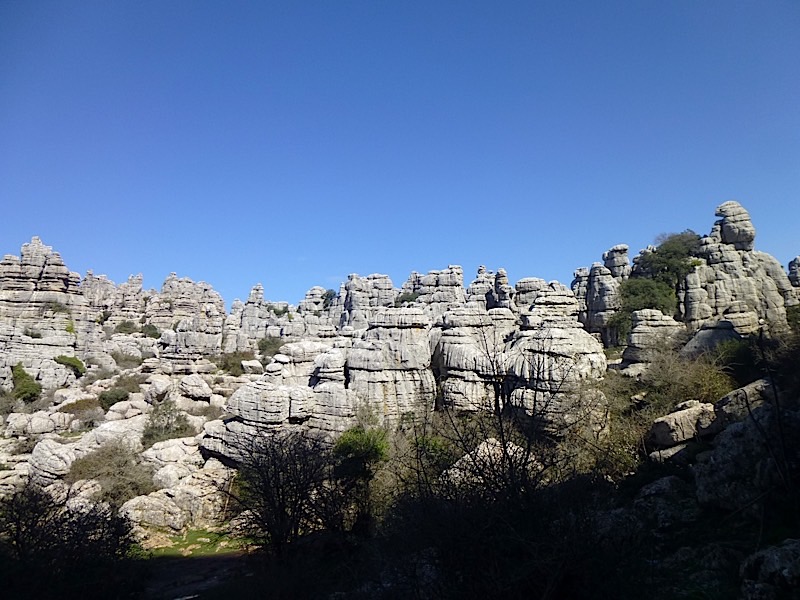 P1000677