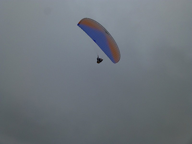 Greduvent201311
