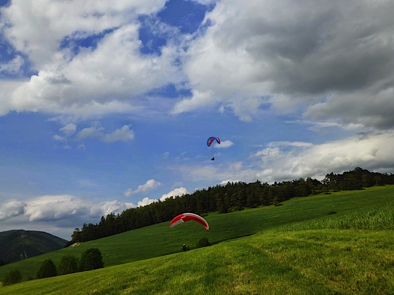 Greduvent2013141