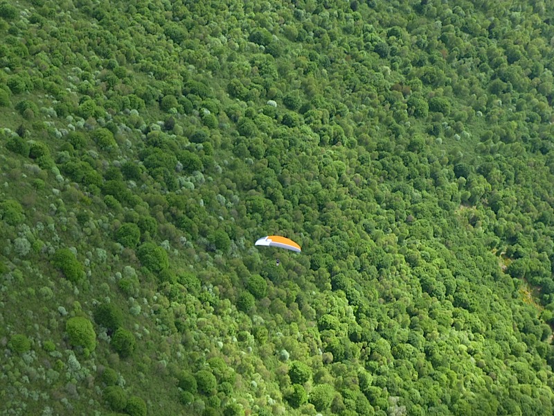 Greduvent201368