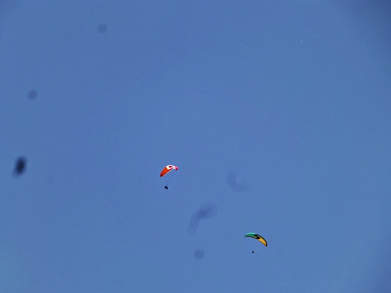 Greduvent201477