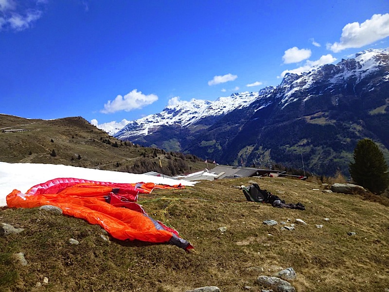 Griomentzverbier20141