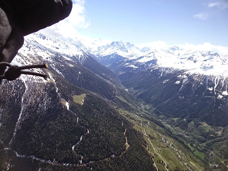 Griomentzverbier201414