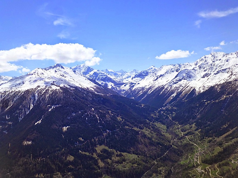 Griomentzverbier201417