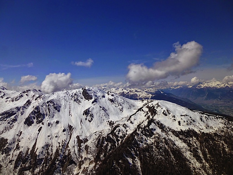 Griomentzverbier20147