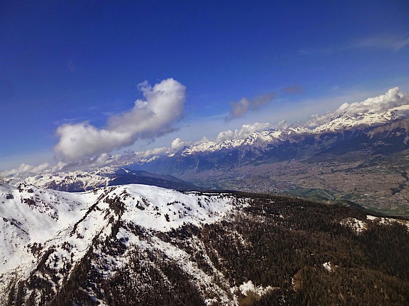 Griomentzverbier20148