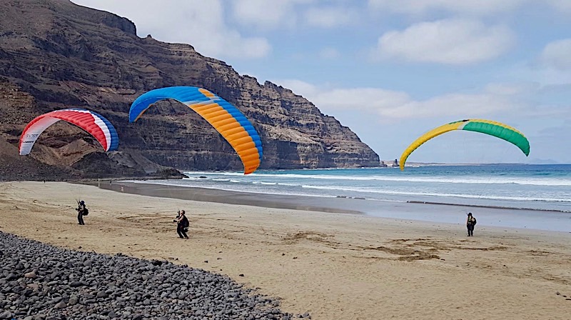 C4788d66 D1d1 4f22 B8f3 E9ad476c360c