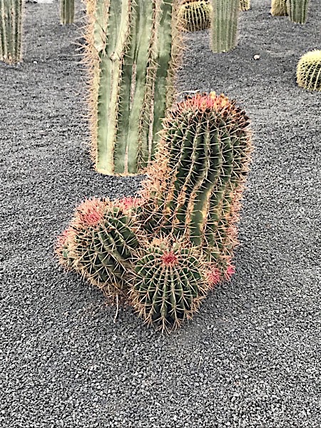 IMG 20171211 WA0007