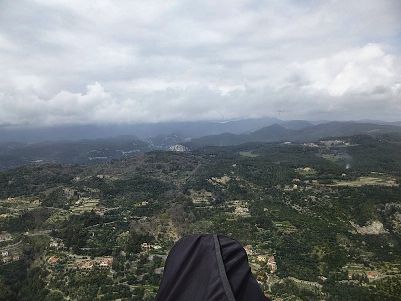 Meditenanee201430