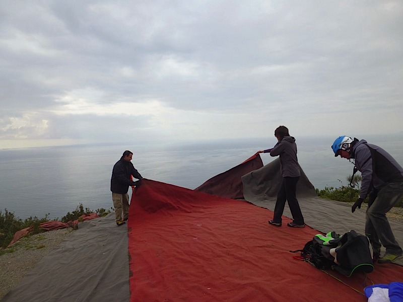 Meditenanee20144