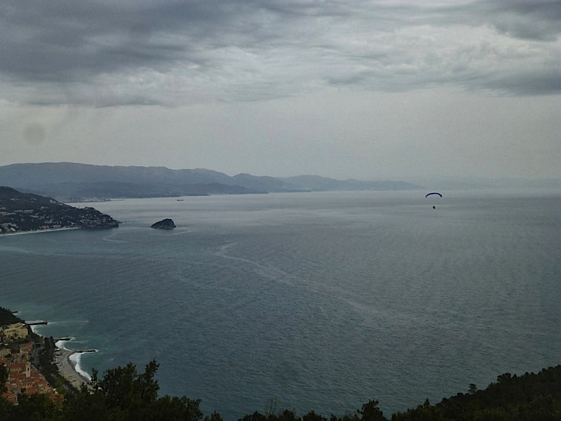 Meditenanee201456