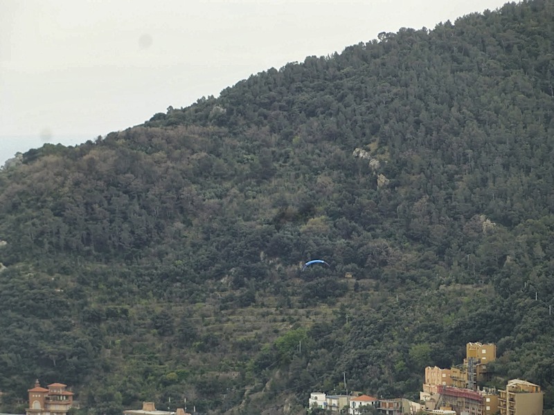 Meditenanee201467