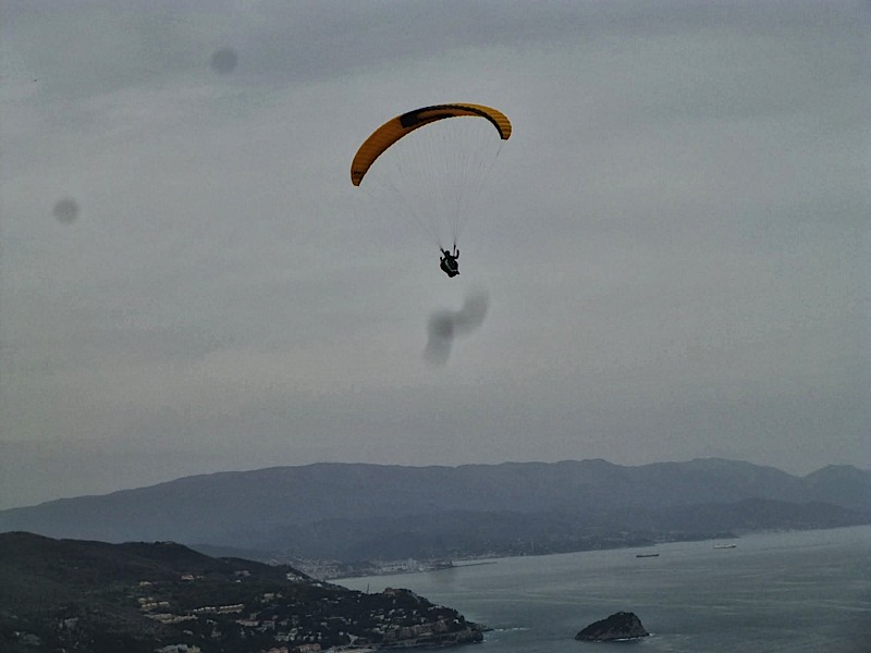 Meditenanee201483