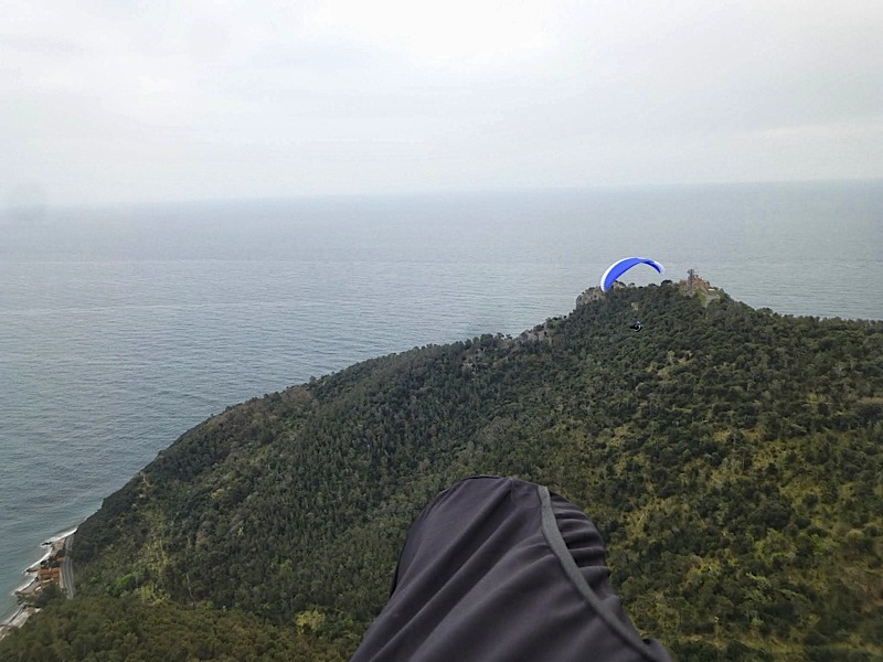 Meditenanee201488