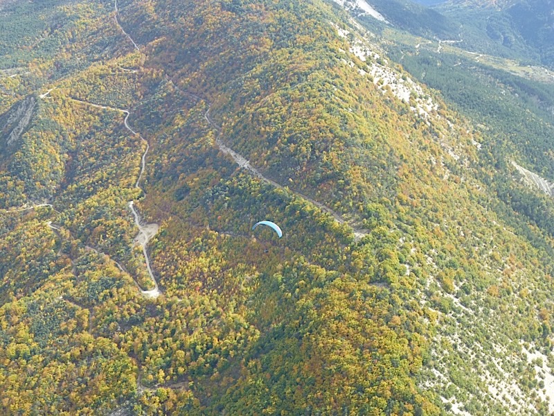 P1000437