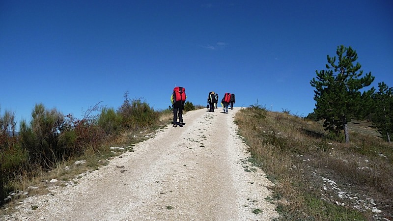 Standrecross201250