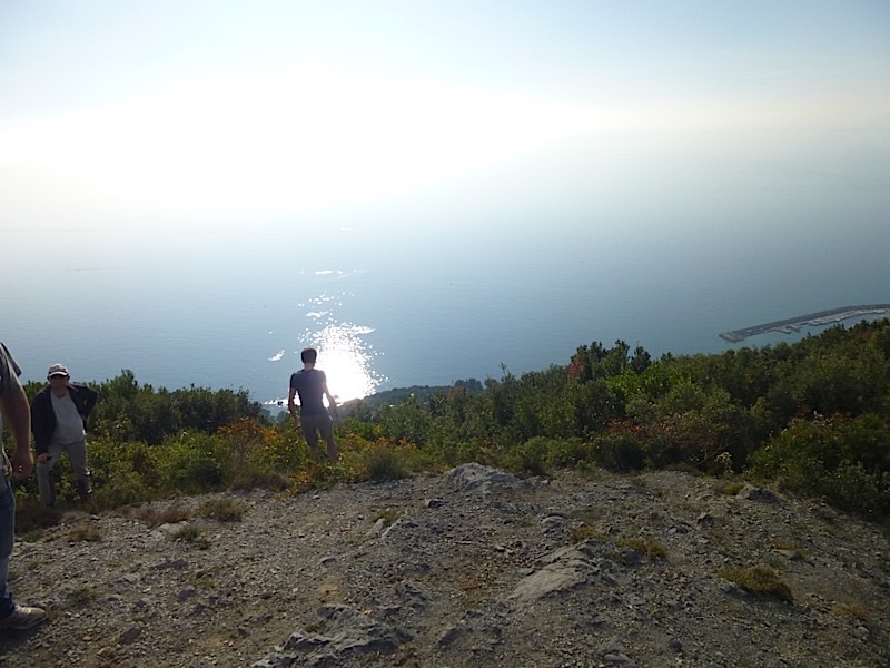 P1000503