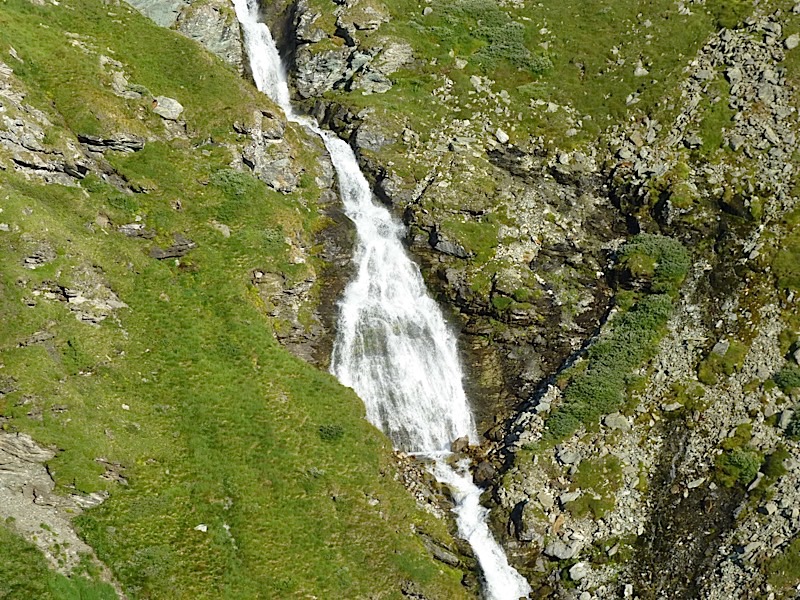 P1000365