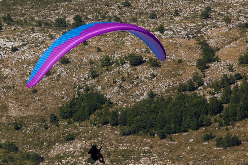 ozone zeno 1