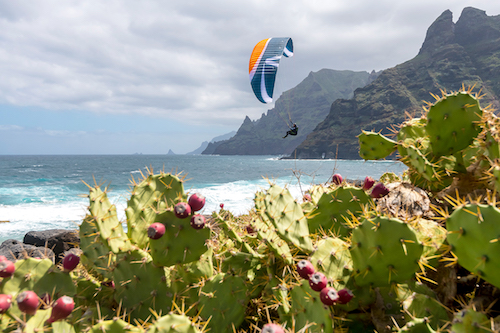skywalk paragliders TEQUILA5 1